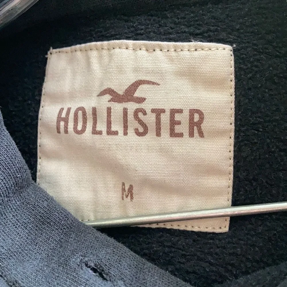 Hollister Logo Hoodie
